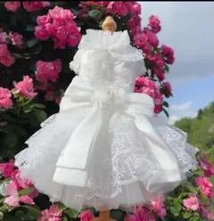 犬用　ホワイト　ドレス　Ｓサイズ