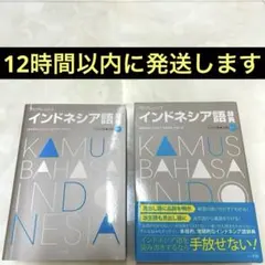 【美品】 プログレッシブ インドネシア語辞典　小学館