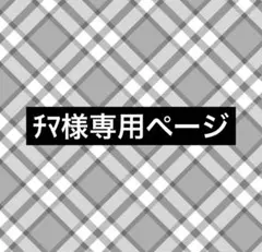 専用