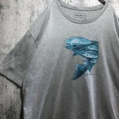 希少 Eddie Bauer エディーバウアー グラフィック Tシャツ XL