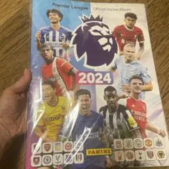 2025年最新】プレミアリーグ カードの人気アイテム - メルカリ