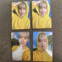 SEVENTEEN セブチ ディノ carat トレカ