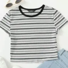 shein 完売品 ボーダーリブニットトップス　半袖　パープル