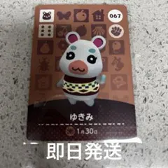 あつ森　amiibo ゆきみ トレーディングカード 067