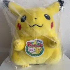 ポケモン30周年記念おかえり!ピカチュウ1/1