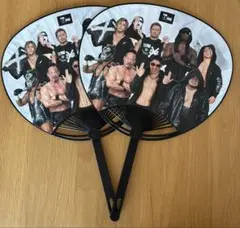 ⁠【非売品】全日本プロレス ザ・リーブ うちわ2セットのサムネイル
