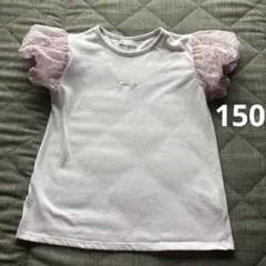 Item thumbnail for item 11fe8e45-7cc4-4126-8277-2c56c34ad200