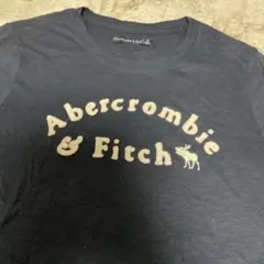 Abercrombie & Fitch ネイビー Tシャツ S