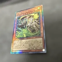 2026年最新】天雷ノ双風神 シーナの人気アイテム - メルカリ