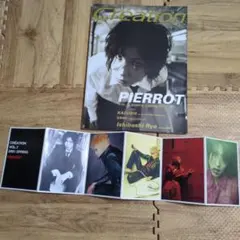 Creation VOL.1 2001 SPRING PIERROT