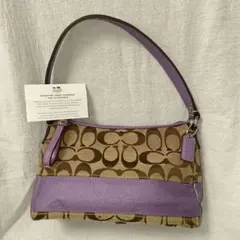 希少カラー COACH ワンショルダー アクセサリーポーチ パープル y2k