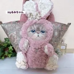 2026年最新】コヤンイサムチョン ルミちゃんの人気アイテム - メルカリ