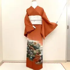 袷 4点 フルセット 色留袖 入学式 卒業式 入園式 卒園式 お宮参り 春 秋