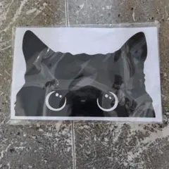 ▼검은 고양이 스티커 벽 스티커