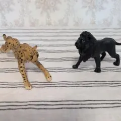 アニア　サファリ社　動物フィギュア 2体セット ブラックライオン　 チーターのサムネイル