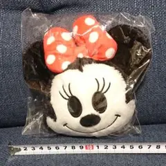 ディズニー　ミニーちゃん　ミニーマウス　パスケース