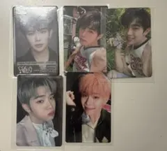 ゼベワン　テレ　 5枚セット