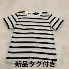 ストライプ Tシャツ 100cm 半袖