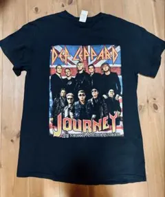 FEEDER✖️ELLEGARDEN 対バン Tシャツ 黒 XL TOUR2025 - メルカリ