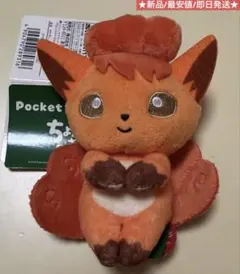 ちょっこりさん ロコン 新品タグ付き 最安値 即日発送 ポケットモンスターのサムネイル