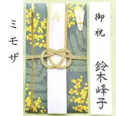 Item thumbnail for item 5dc465a6-4753-4de2-96d4-39b36340f932