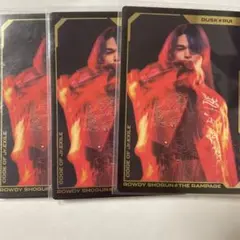 BOT 与那嶺瑠唯(RUI)フォトカ