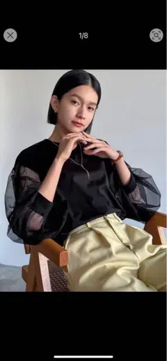 長袖シアーカットソー　ZARA チュール