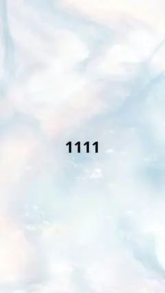 1111