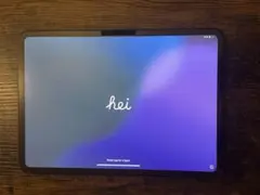 iPad Pro11インチ第5世代（最新）M4 Wi-Fi 256GB ブラック