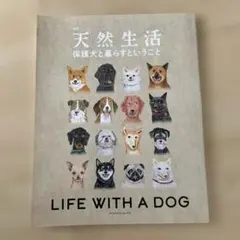 Item thumbnail for item c7d9f988-c824-47da-82ee-16792b10371d