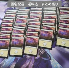 MTG　基本土地　081　平地　[J25] 　日本語　48枚まとめ売り