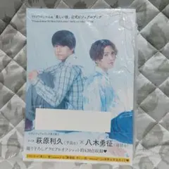 TVドラマ＆劇場版「美しい彼」公式ビジュアルブック