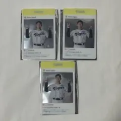 Item thumbnail for item 7d45d9e7-14e8-4b96-b404-13e1288fa15a