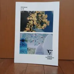 「SEVENTEEN CARAT MAGAZINE VOL.12」
