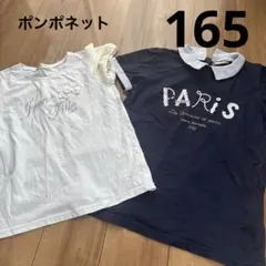 ポンポネット 165 Tシャツ