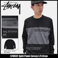 【Stüssy】ブラック Tシャツ