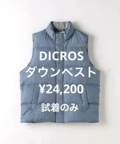 【極暖】UNITED ARROWS green label 別注DICROS