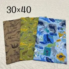 ランチョンマット 30×40 3枚セット　恐竜柄　男の子用　男子　男児　給食用