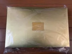 新品未使用未開封 プレミアムブランケット ワインレッド