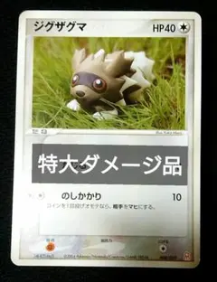 マッスグマ ジグザグマ ギフトボックス エメラルドver. ポケカ セット マッスグマ ジグザグマ ギフトボックス エメラルドver. ポケカ セット