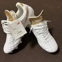 PUMA パラメヒコ SE トップ HG/AG 26.0cmのサムネイル