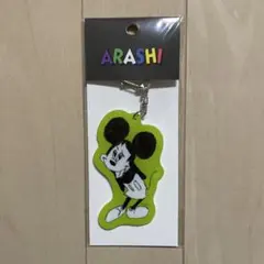 嵐 嵐を旅する展覧会 アクリルキーチェーン ミッキー キーホルダー 緑 相葉雅紀