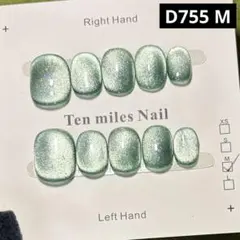 現品ネイルチップ　ベリーショート　ワンカラーマグネットオフィスフラッシュちゅるん