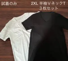 お値下げ不可⭐︎ 試着のみ　2XL 半袖VネックTシャツ 3枚セット 白 黒