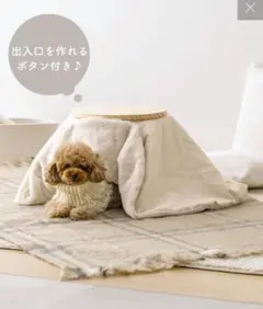 Item thumbnail for item 18207d1c-b7c0-4426-ae39-259688210117