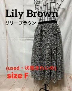 リリーブラウン 総レース 花柄 ロングスカート スカート(used、きれいめ)F