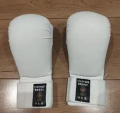 Item thumbnail for item 6ac96f28-8ade-468d-bddb-9129cdb37a6c