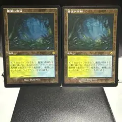 9/30迄の出品【霧深い雨林】【EXP】【foil】 Foil】《霧深い雨林/Misty Rainforest》[EXP] 土地R | 日本最大