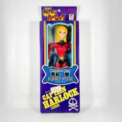 【訳アリ】キャプテンハーロックフィギュア（有紀螢）