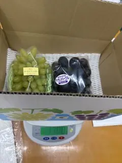 家庭用】品種色々✨岡山白桃3.75kg12~16玉いり - メルカリ